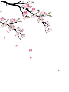 头发成块脱落来的太“秃”然！一夜之间“鬼剃头”