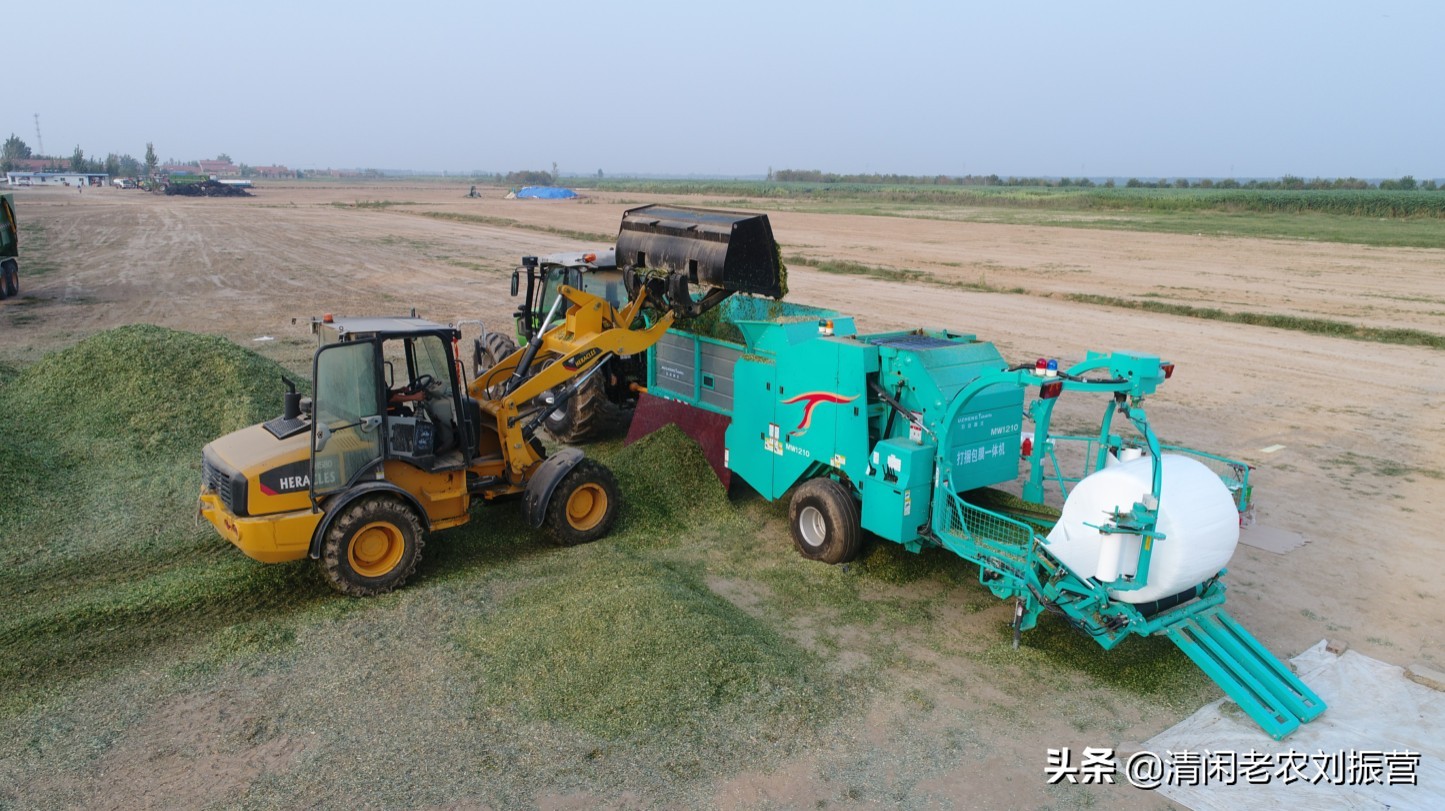 2019打捆机市场,青岛国际农机展销会打捆机