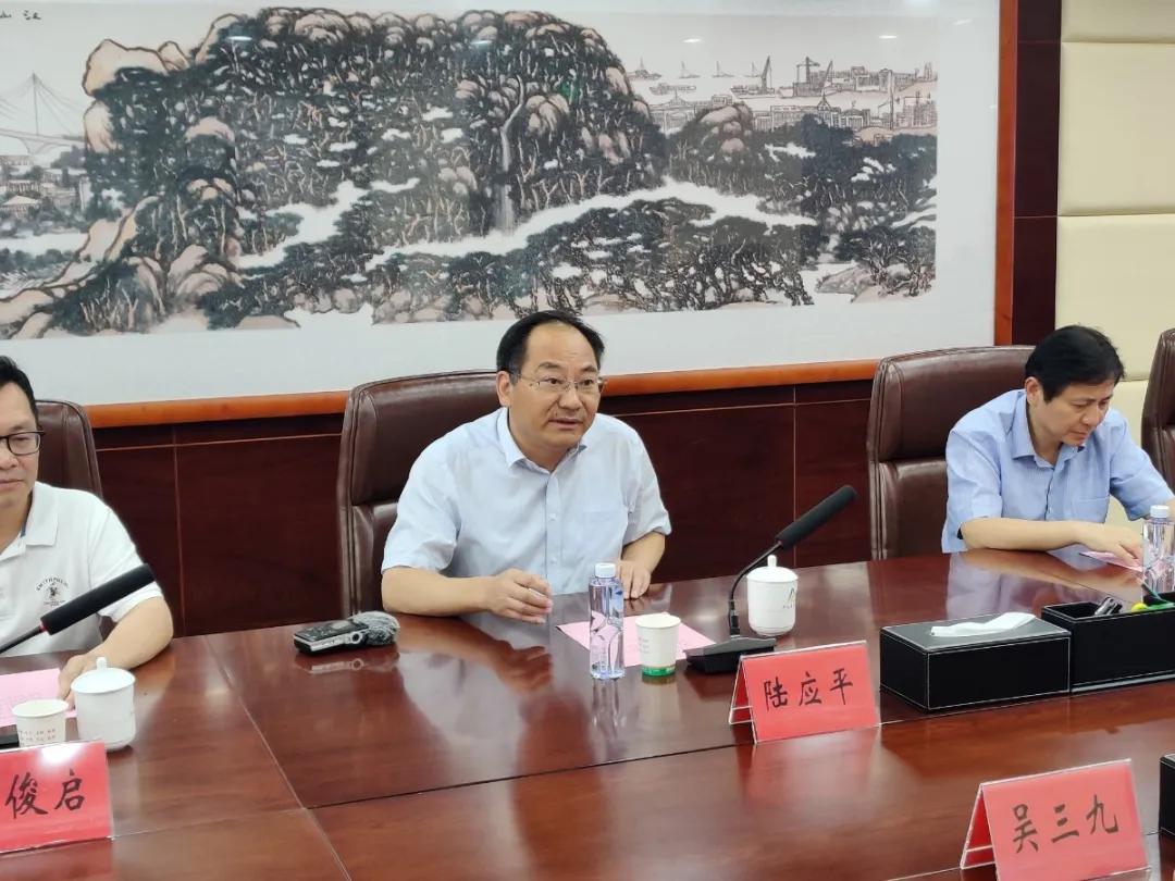 安庆绿地新里城高琦小学分校,高琦小学2018