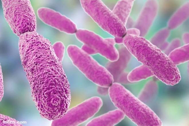 用了抗生素后一定要吃益生菌吗,高级抗生素和普通抗生素的区别