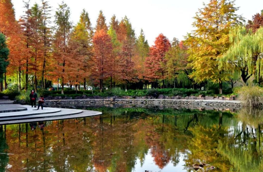 杭州最佳赏秋路线推荐,杭州附近赏秋的地方