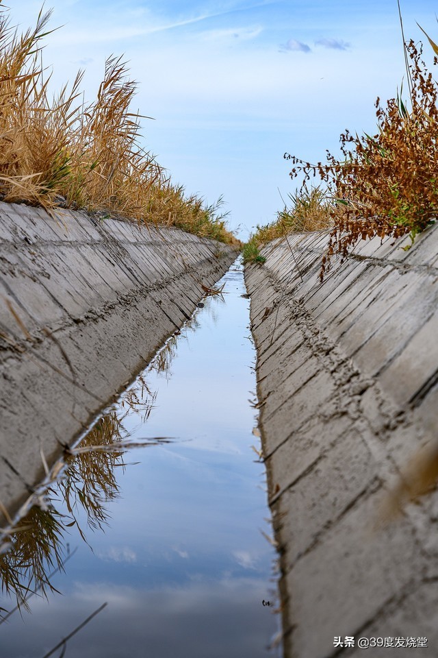 入手尼康z7半年的使用感受怎么样,尼康z7ii专业摄影师实际使用感受
