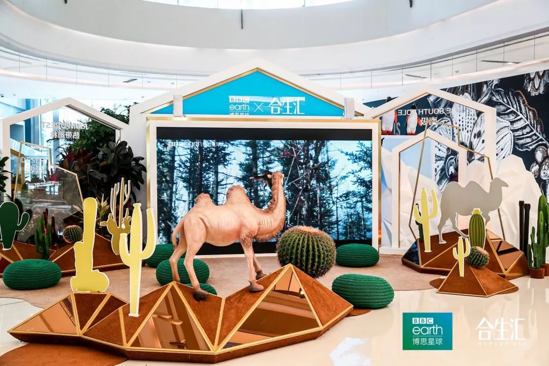 浪漫又梦幻的粉色圣诞树太美了,少女心爆棚的粉色圣诞树