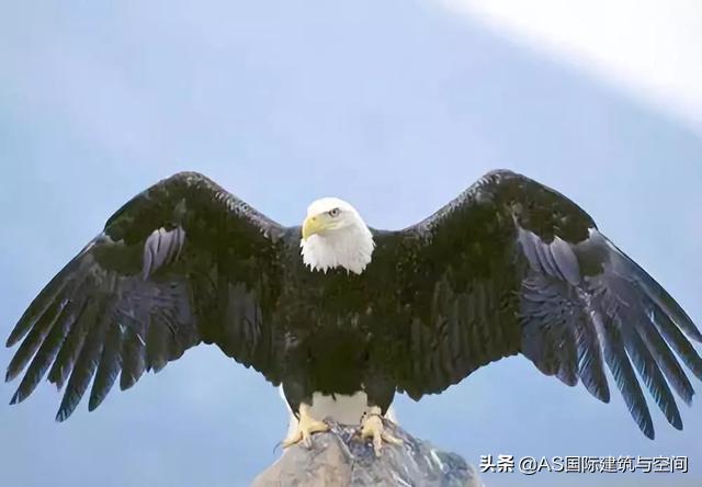 迪拜2020世博展览馆位置,迪拜世博会那些惊艳的世博馆