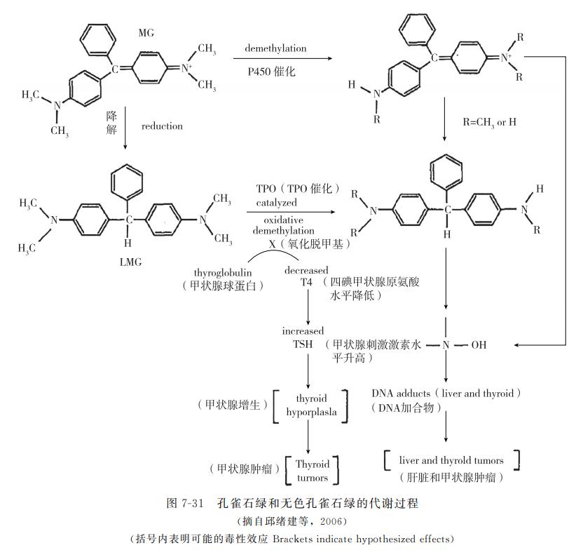 动物性食品化学污染评价指标,动物源性食品安全