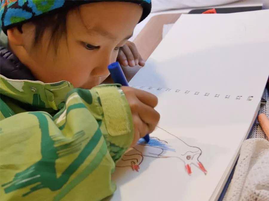 他叫辛巴,不是狮子王,8岁穿越12国:最好的教育,永远在路上