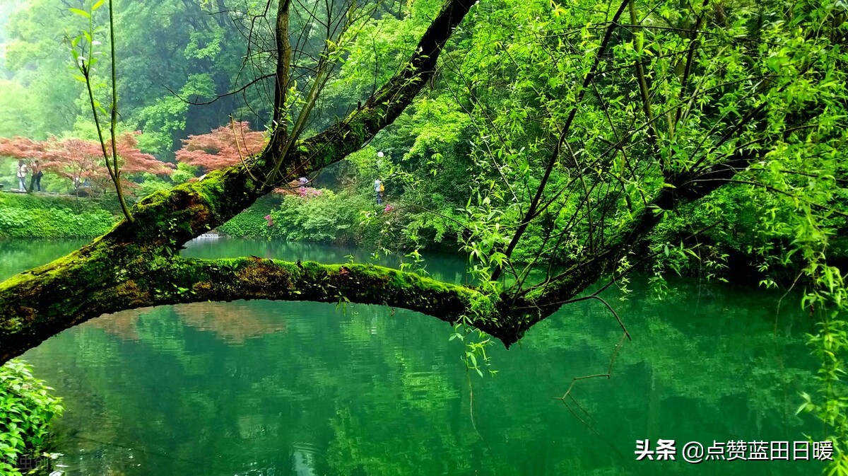 白居易的古诗忆江南朗读视频,白居易的古诗忆江南大全