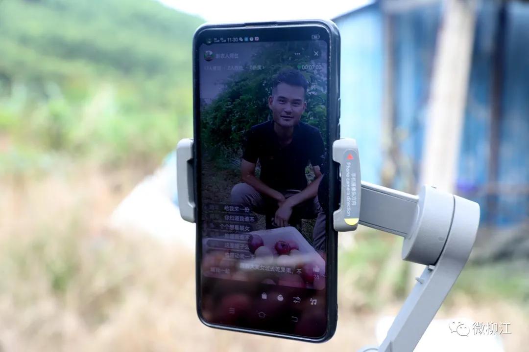 直播卖水果一年收入几百万,直播卖水果一年200万