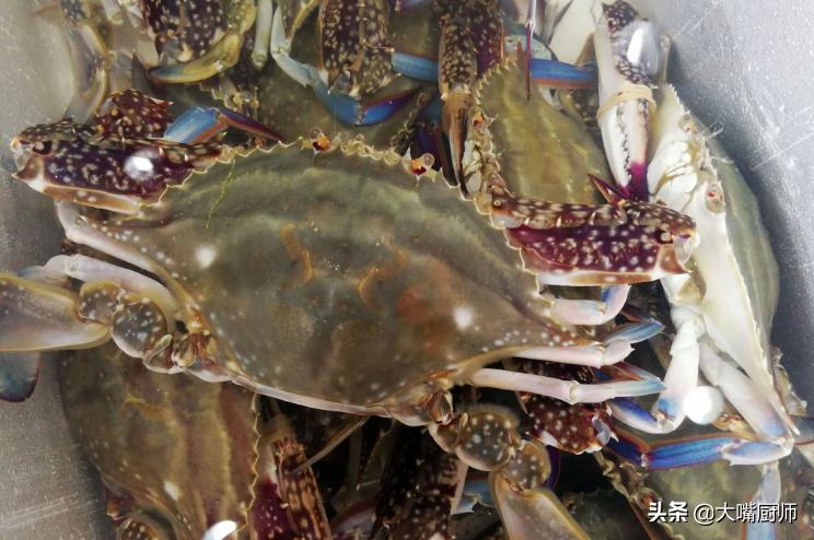 挑梭子蟹怎么挑,怎么挑梭子蟹肥美