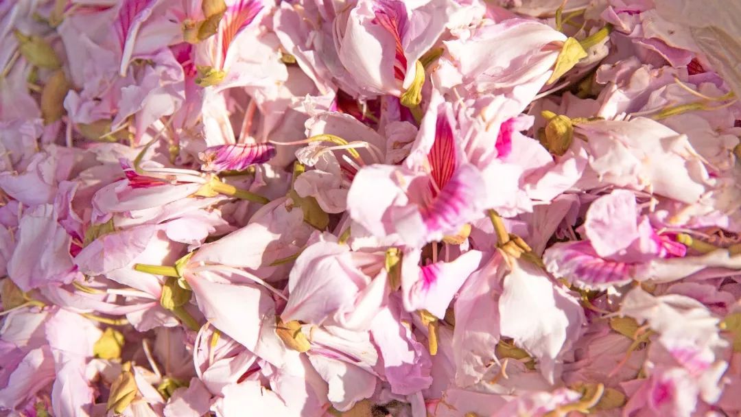 微游|永昌美食十二食辰