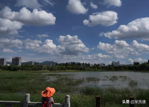 渔浦寒泉生态湿地公园在昆明哪里,昆明渔浦寒泉公园开放了吗