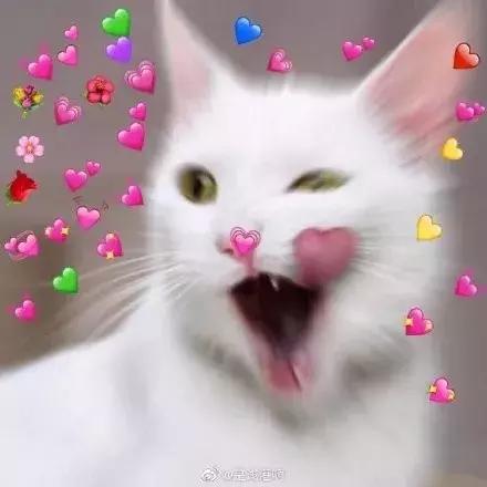 深圳nike折扣店在哪,深圳华南城奥特莱斯nike