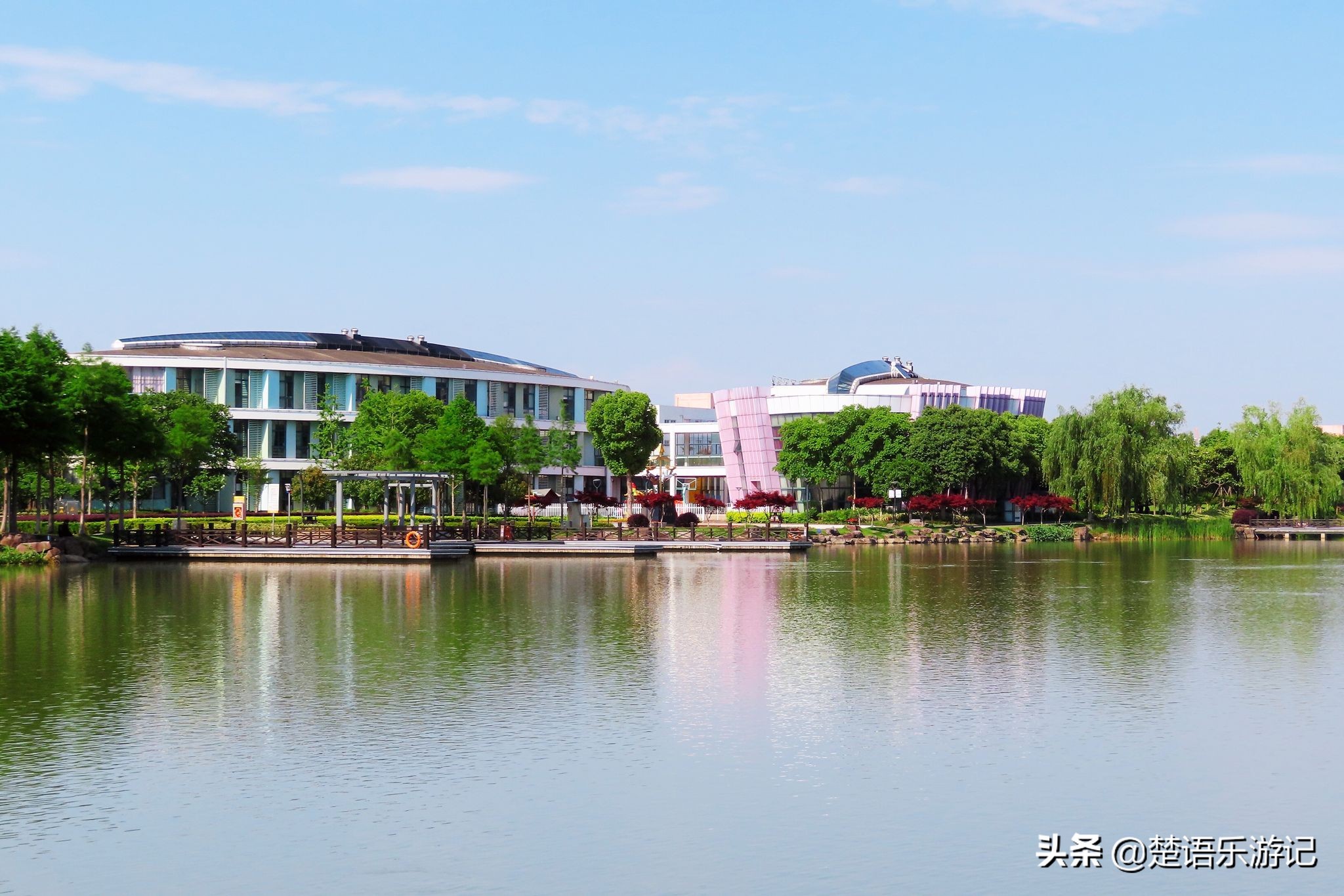 宁波奉化最好的公园,宁波奉化旅游景点推荐森林公园