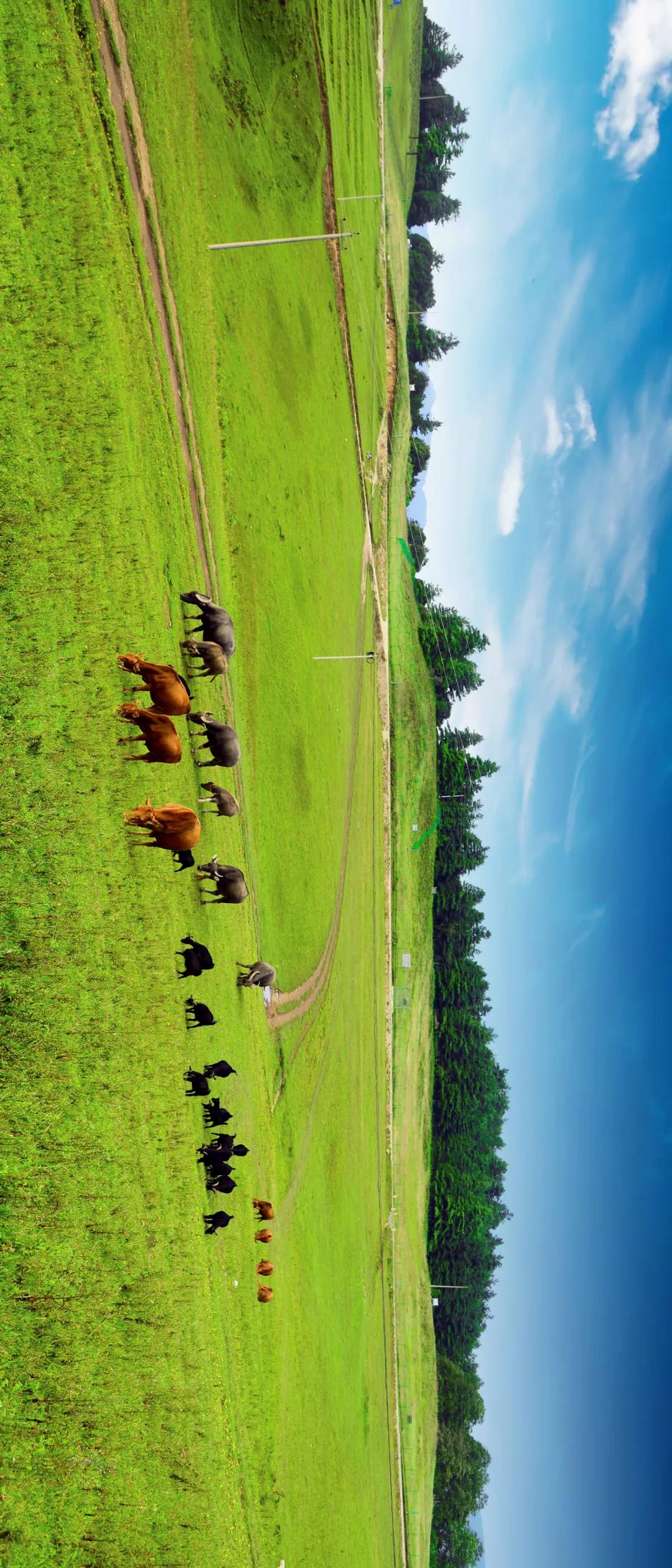 这是一个生机勃勃的地方关于它的故事才刚刚开始