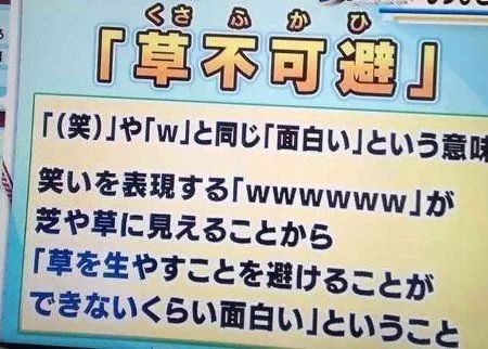 日本语草是什么意思,日本人说草的意思