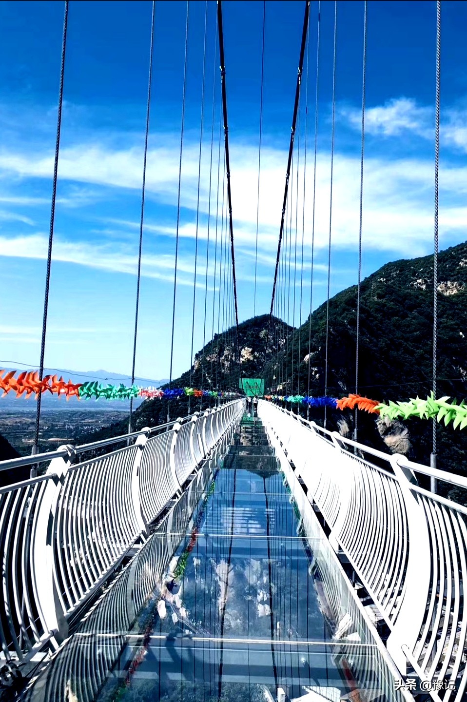 河南灵宝现在有什么水果,河南都有哪些水果