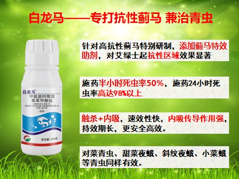 蔬菜害虫最佳防治方法,如何自制杀虫剂防治蔬菜害虫