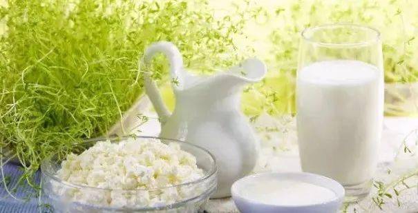 羊奶粉排名前十有哪些,羊奶粉排行前十名的有哪些