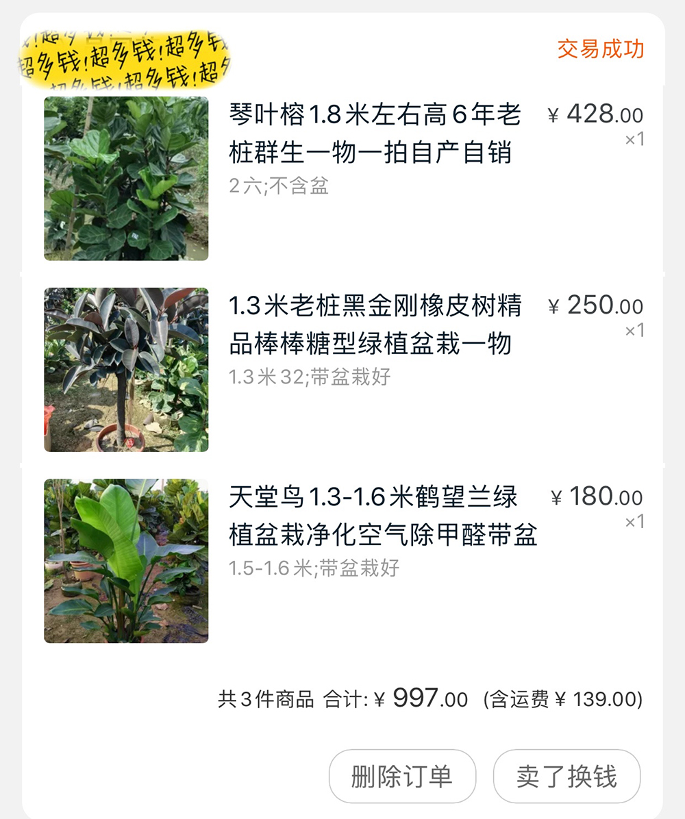 韩雪明星推荐好物,韩雪好物