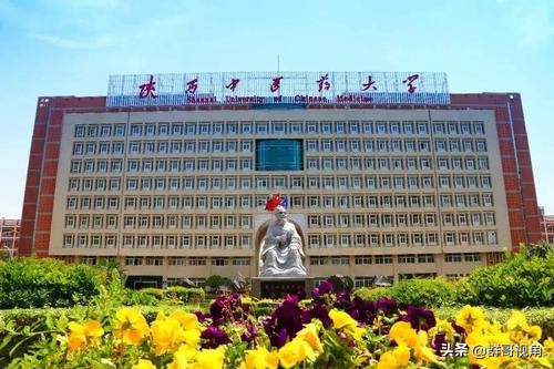 陕西大学一级博士点最新排名,陕西具有一级学科博士点的高校