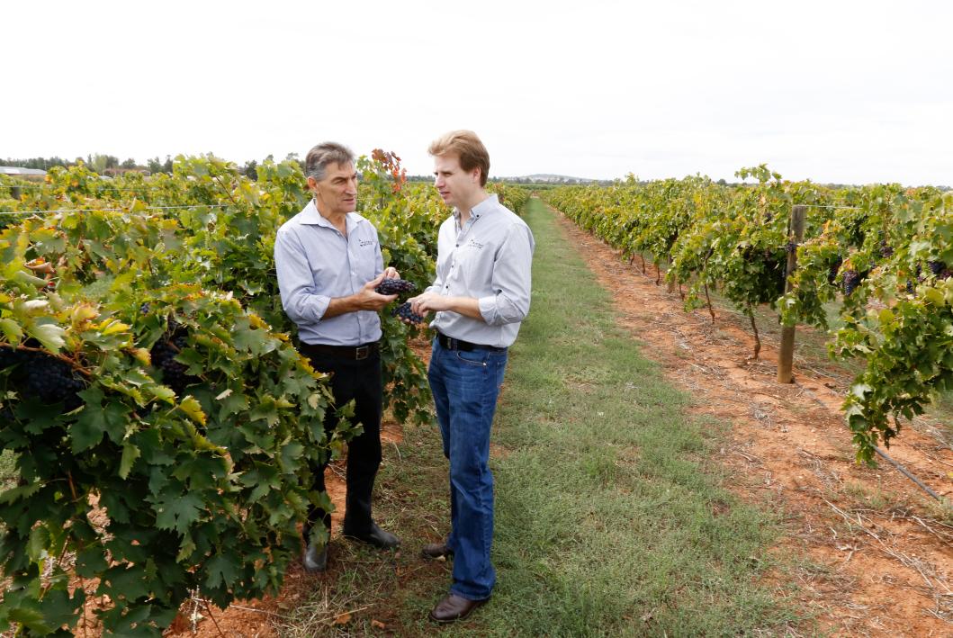 雅如歌庄园,如歌岁月的葡萄园