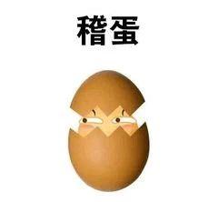 狗可以吃鸡蛋白吗,狗到底能不能吃桃子