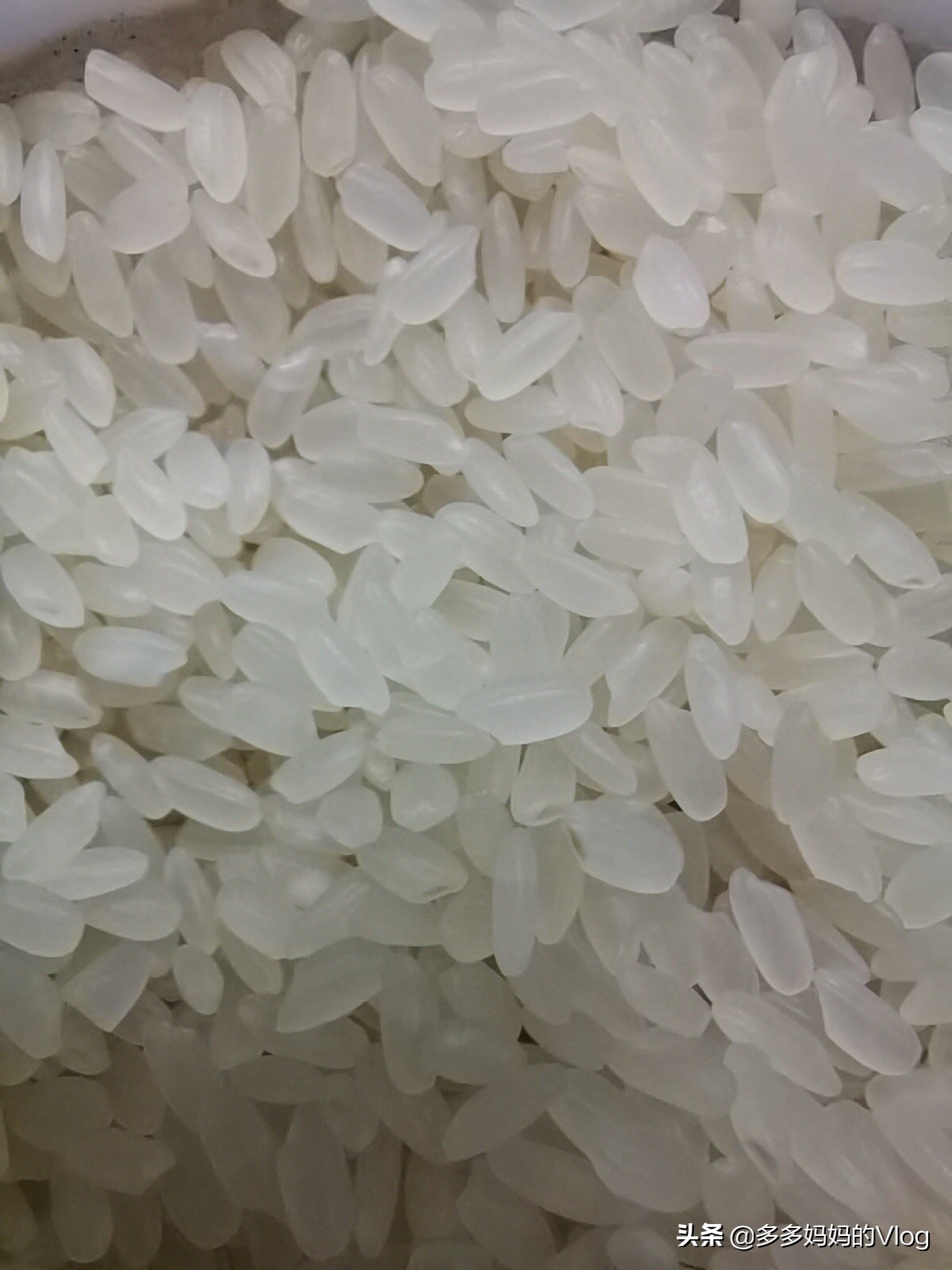 20斤五常香米2号价格,五常香米20斤多少钱