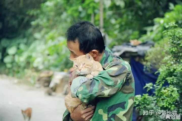 淘宝一斤猫粮多少钱,淘宝猫粮什么牌子好又便宜