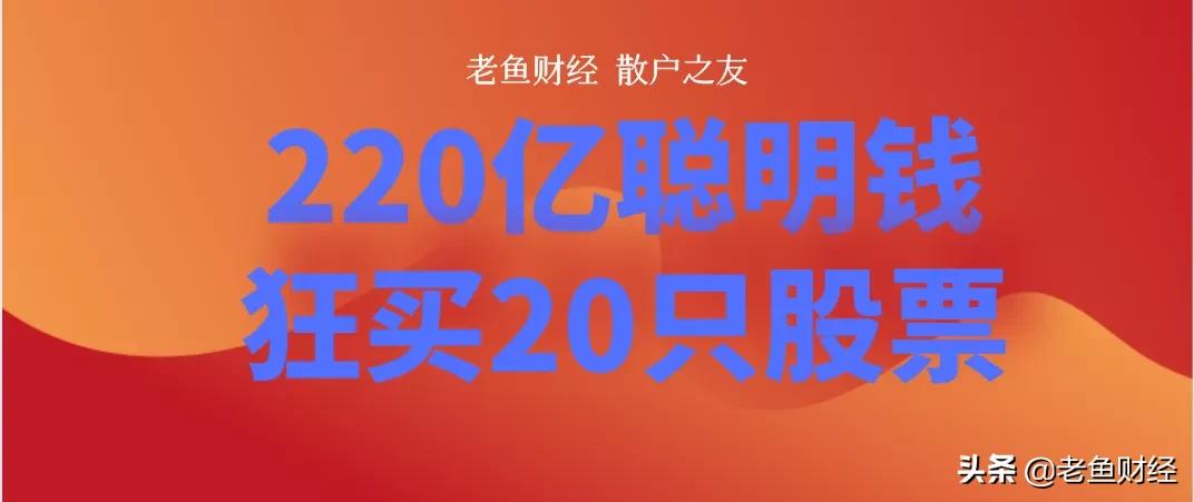 散户可以买的股票,10只可养老的顶级上证50股票