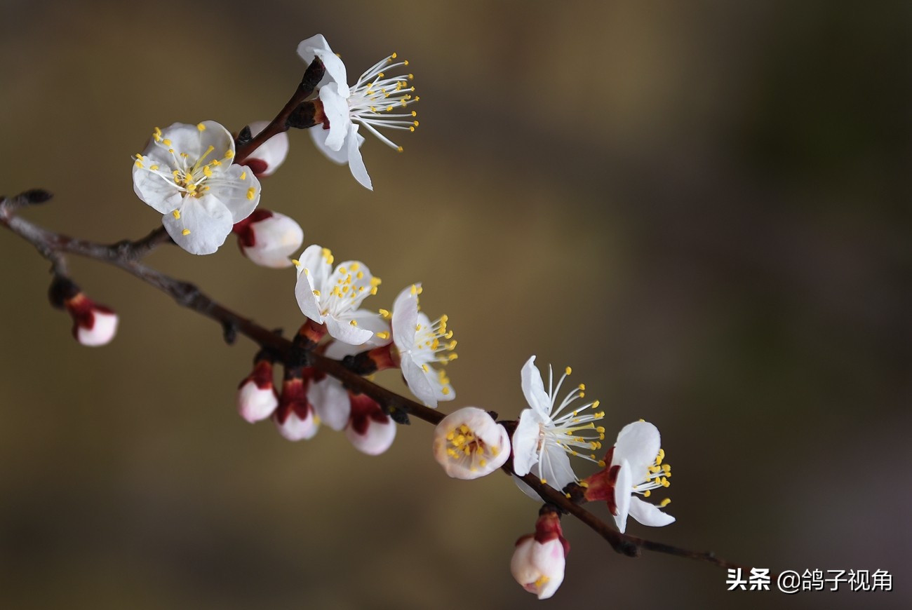 难容之事不妨付之一笑,生气时能够坦然一笑是一种大度