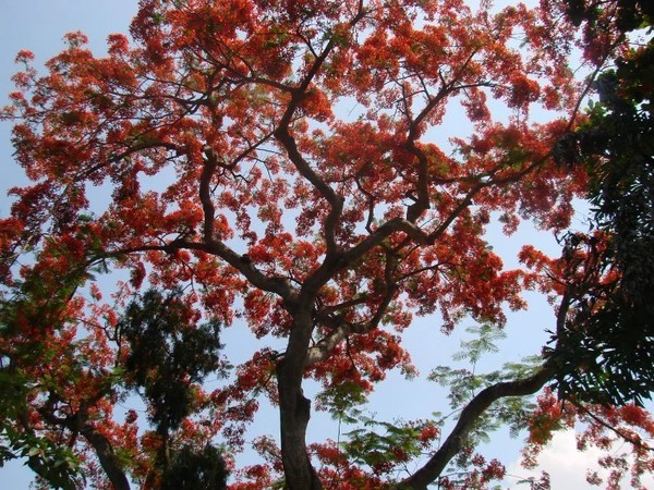 一个人在海边玩一天,一个人在海边怎么玩