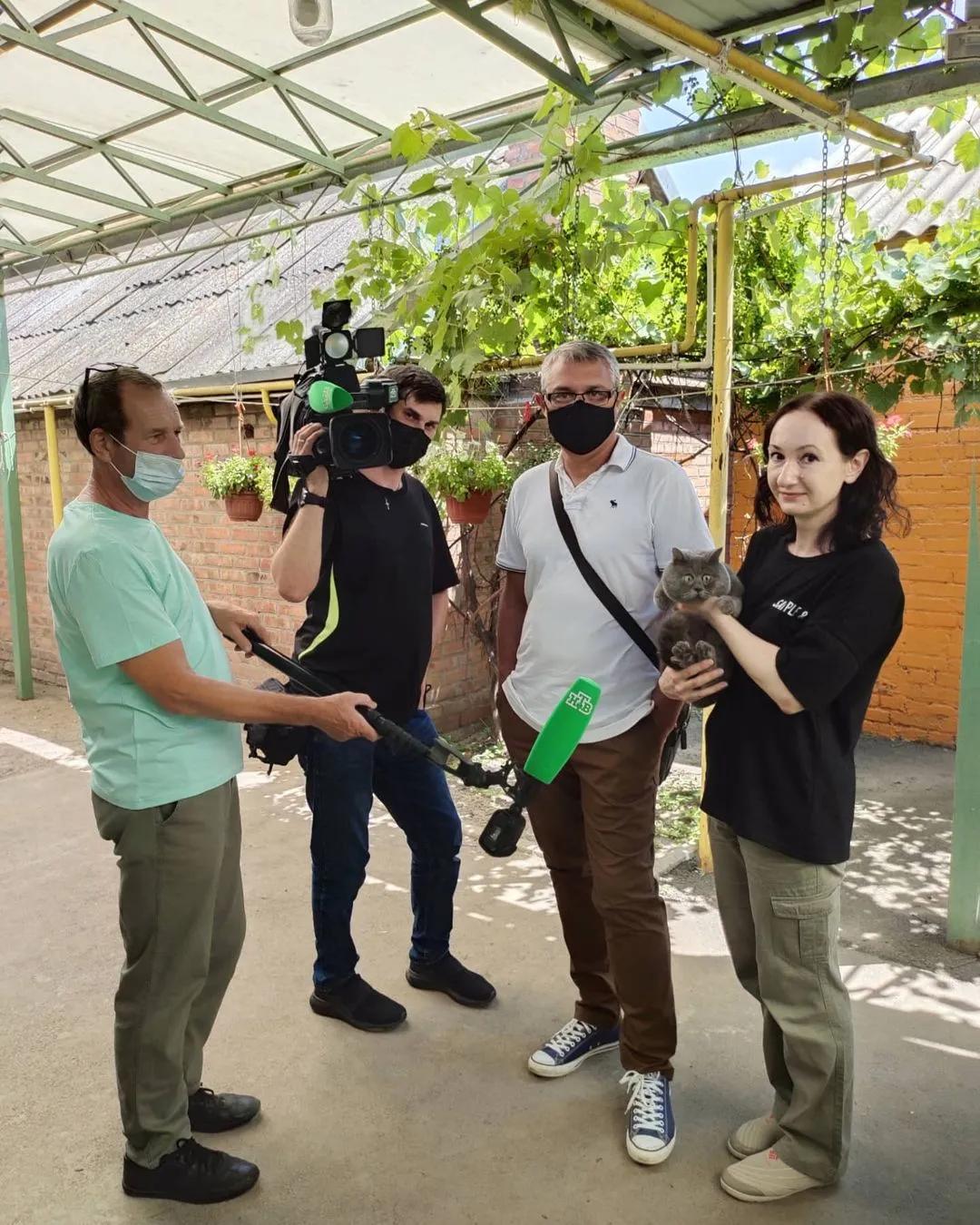 俄罗斯女子收养一只流浪橘猫,俄罗斯女孩收养猫