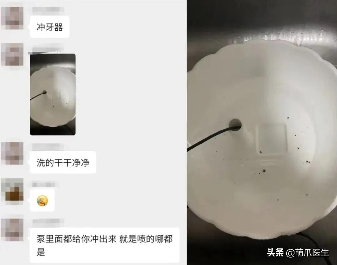 用了五年的饮水机,用了饮水机猫咪喝水量增多