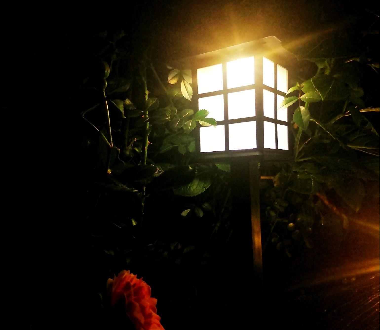 如何打造花园屋顶,超实用的屋顶花园