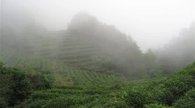 浙江有哪些有瀑布的旅游景点,浙江旅游景点推荐瀑布