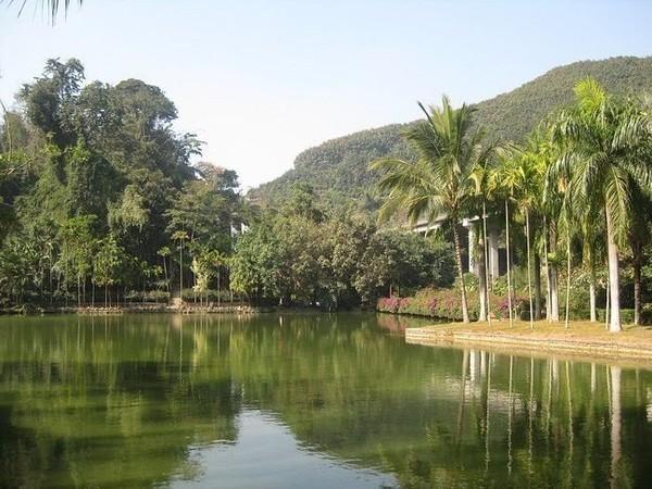 了解西双版纳的风俗和民族文化,西双版纳哈尼族特色民族文化