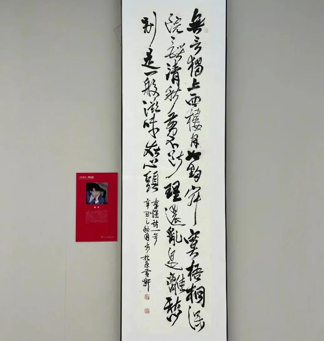 黄轩维意全屋定制,黄轩出席维意定制活动