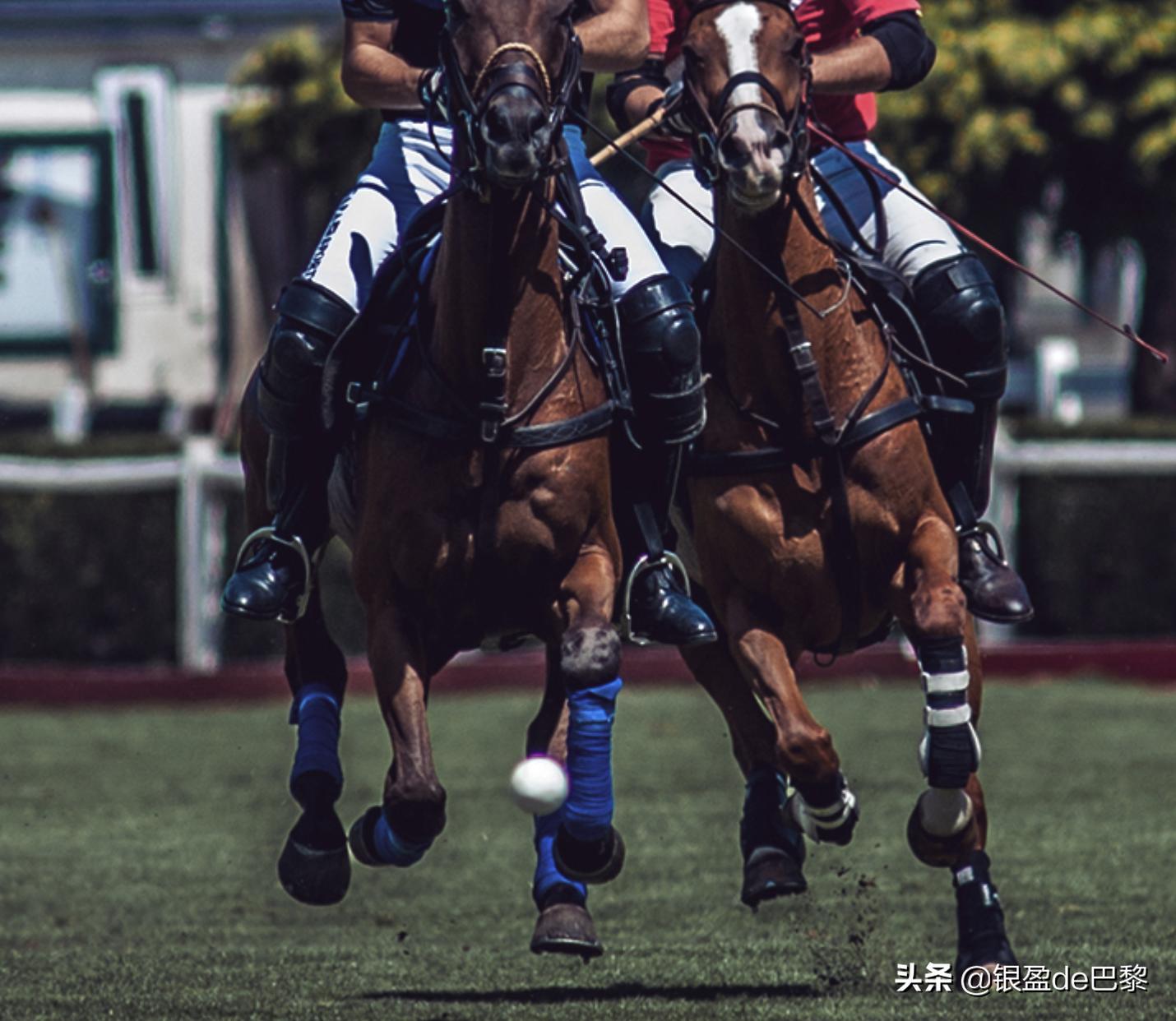 巴黎布洛涅森林景点,法国布洛涅森林有这个地方吗