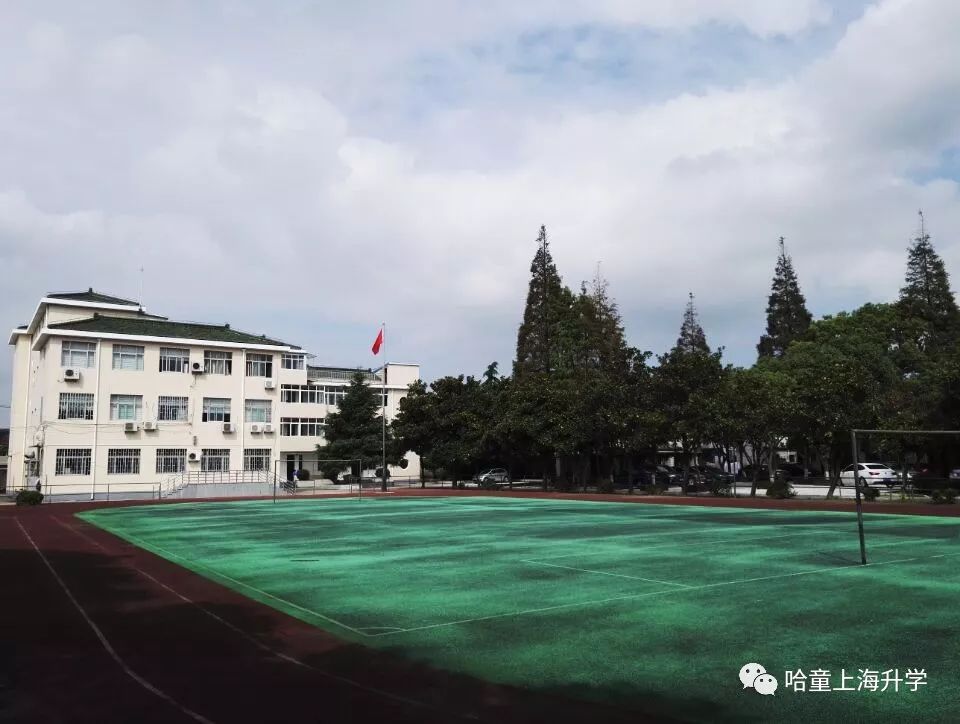 张江学区小学,张江小学学区划分
