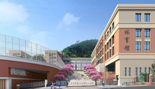 重庆中央公园配套学校,重庆中央公园南的学校