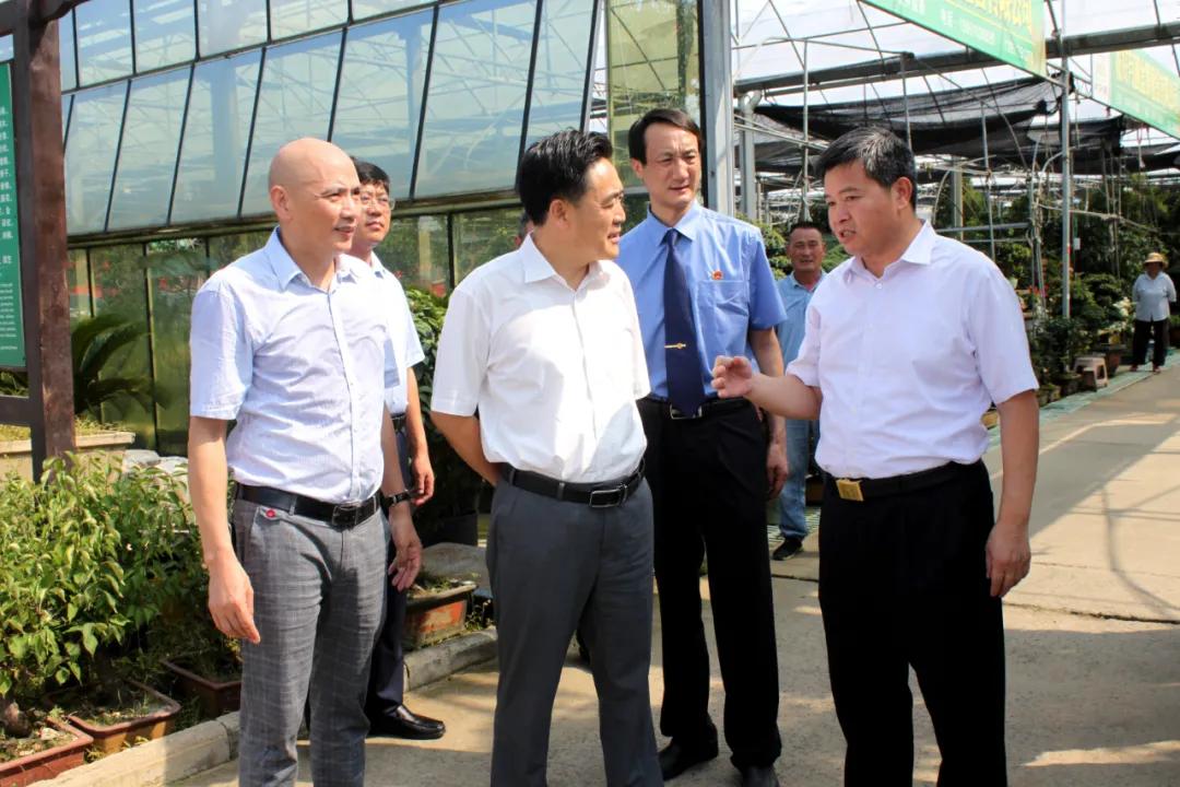 宿迁市沭阳县沭阳国际花木城,沭阳国际花木城布局