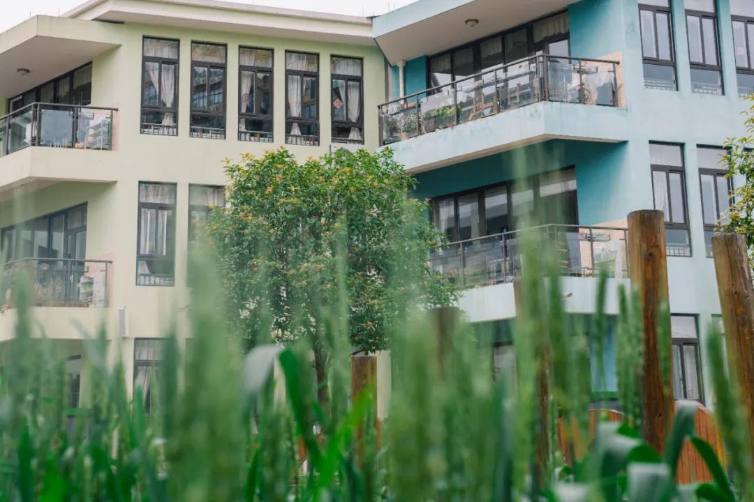 从哪个地方感受到幼儿园的美,幼儿园艺术感受与欣赏感悟分享