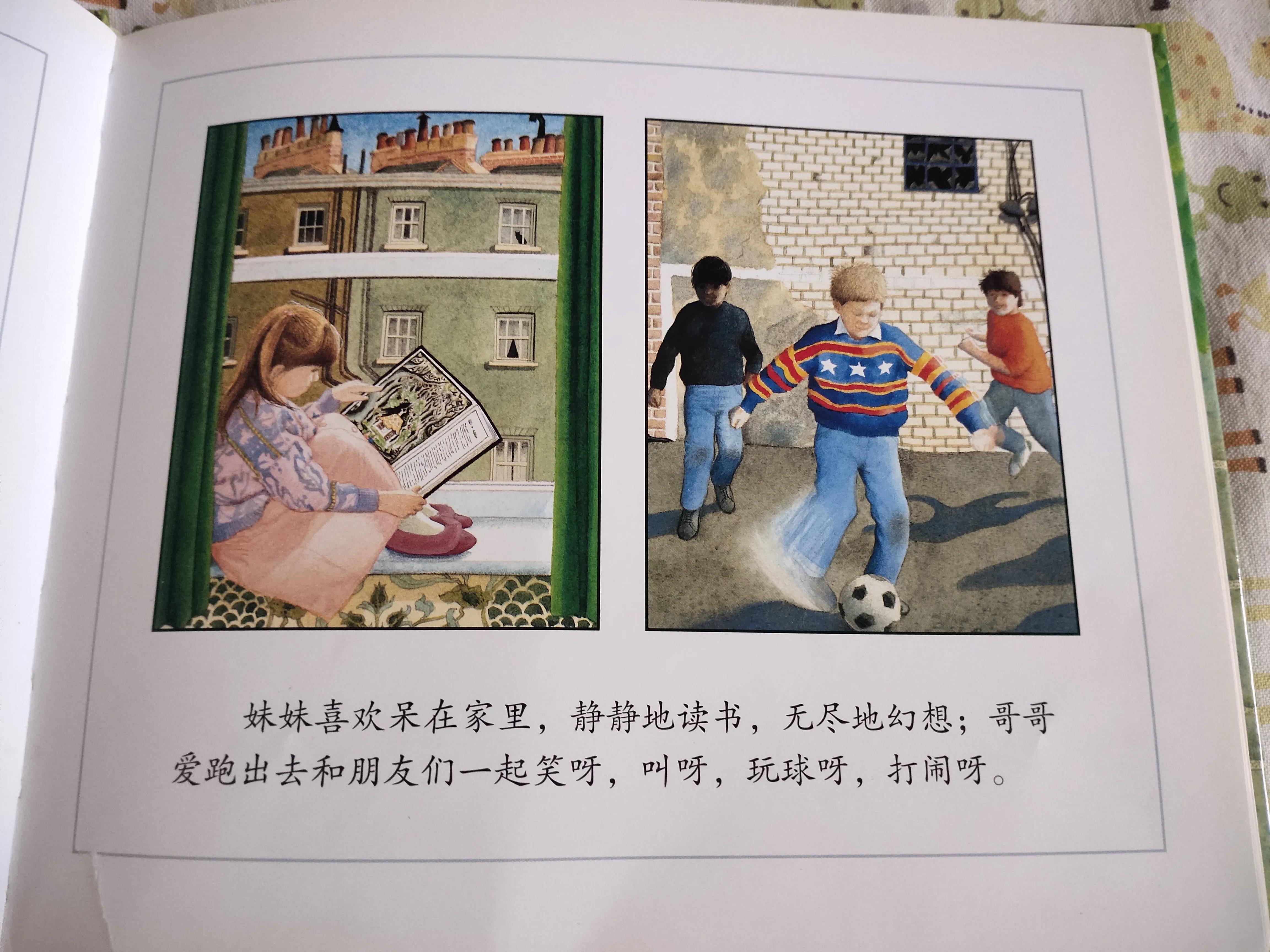 二胎绘本推荐3-6岁,有二胎家庭推荐的绘本