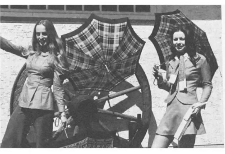 伞小众雨伞,雨伞高颜值ins长柄伞