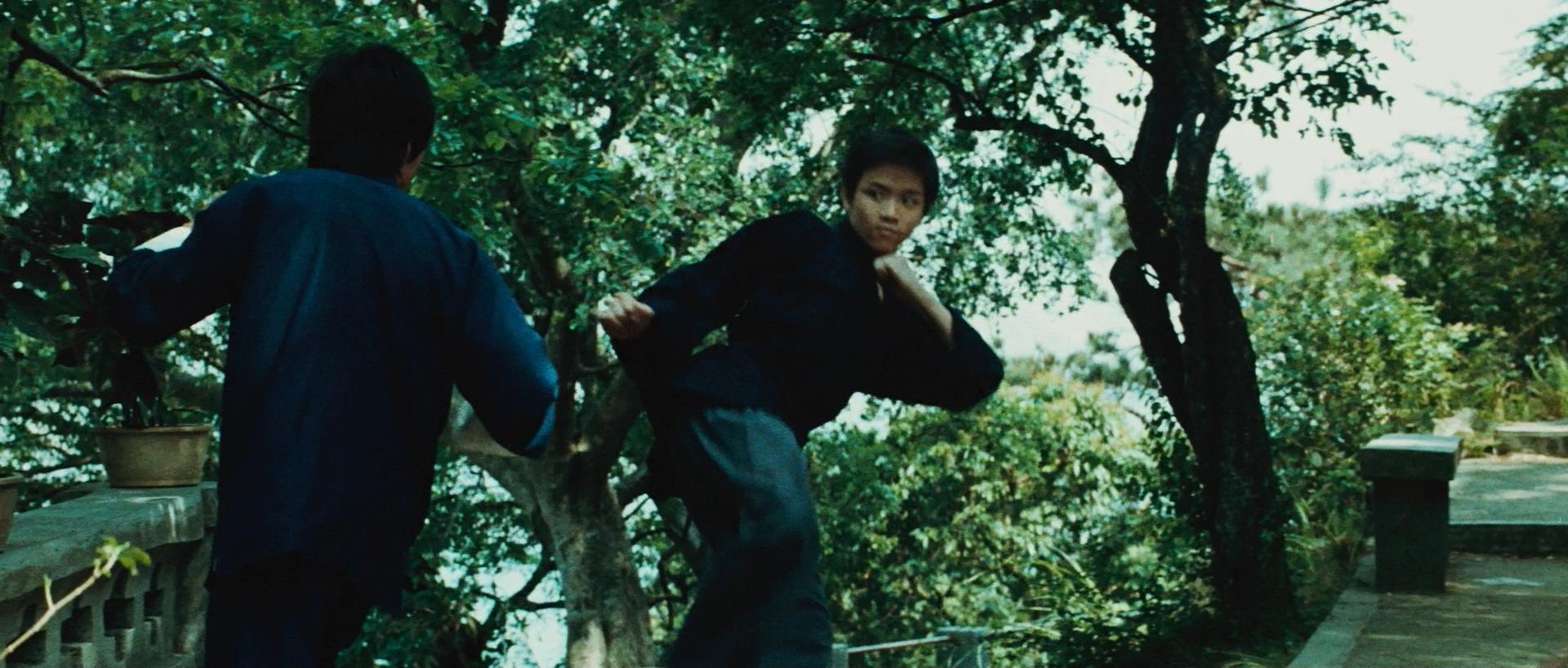 龙争虎斗中李小龙阐释了什么,龙争虎斗李小龙武术最高境界