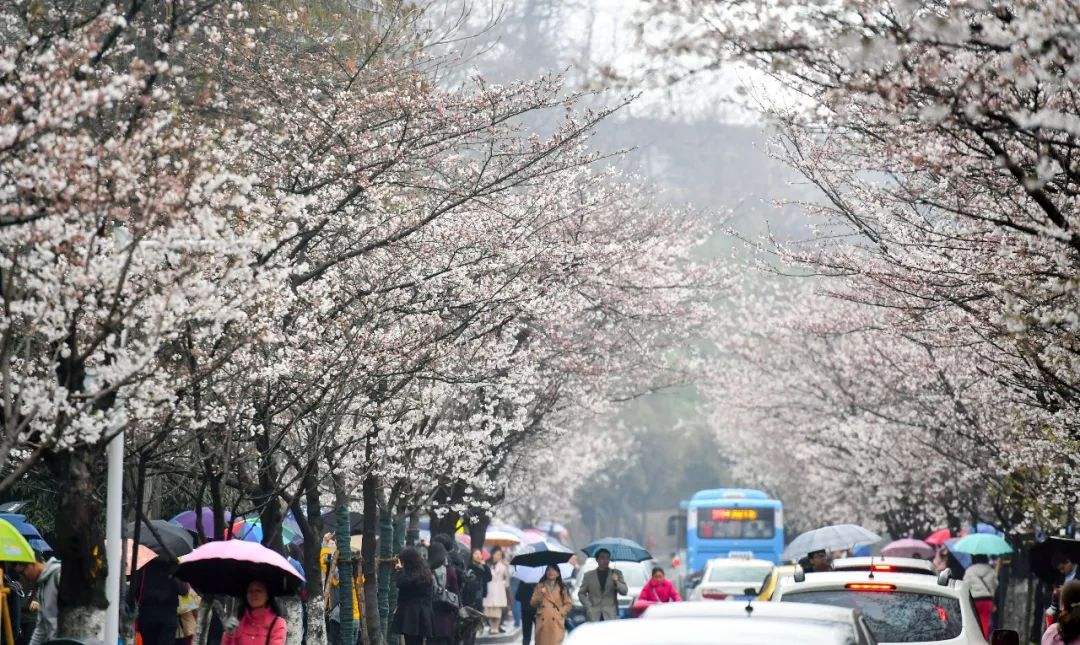 值得一去的南京旅游点,南京旅行攻略过年