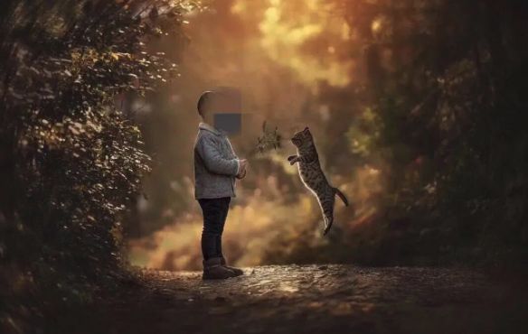 用绳栓猫头抛猫拽猫!还称自己爱猫?求求你做个人吧!