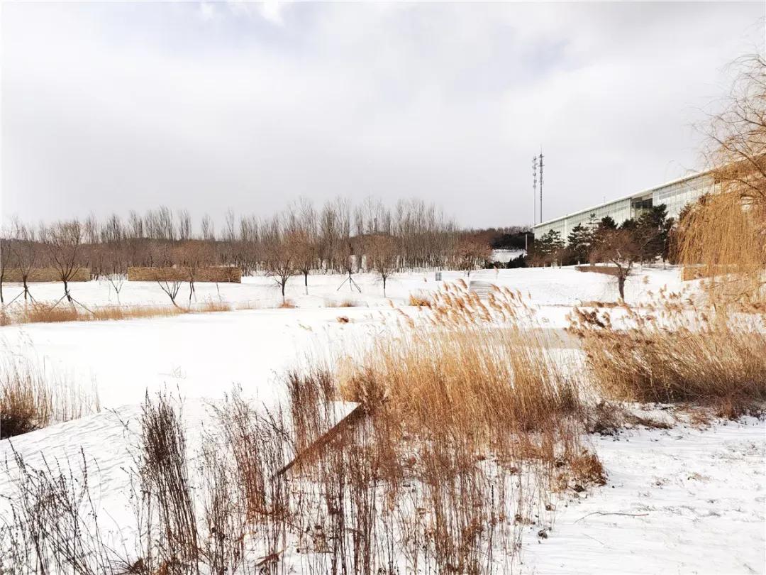 辽宁省高校（三十一）大连医科大学