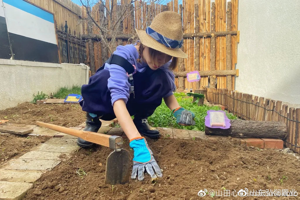 李子柒的城市视频,城市版的李子柒