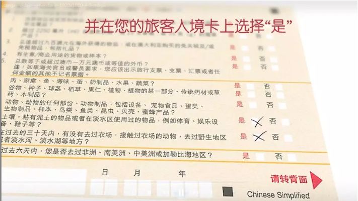 澳洲签证最新通知内容,澳洲签证严查假材料